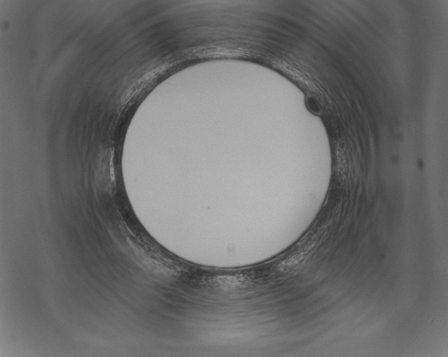 X0000067830302200605111624