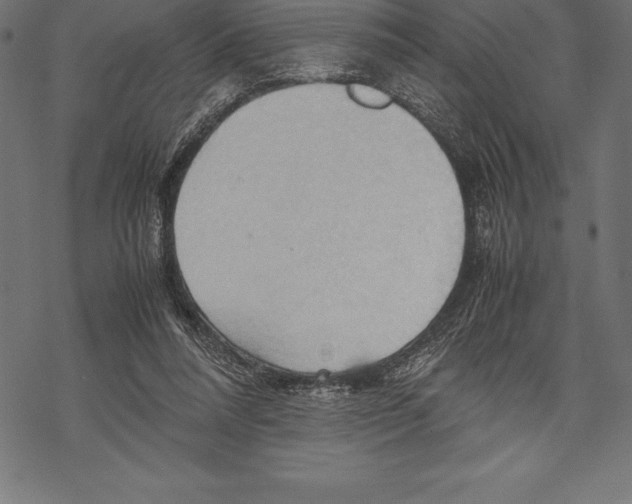 X0000067830304200605111624