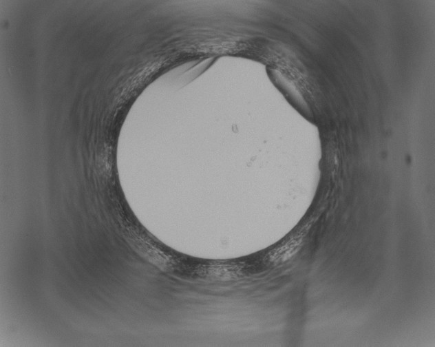 X0000067830305200605111624