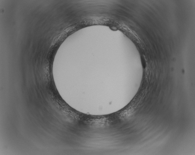 X0000067830306200605111624