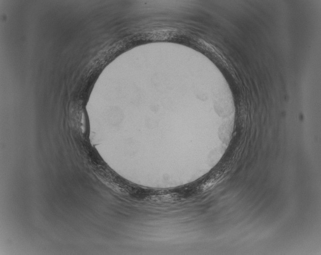 X0000067830307200605111624