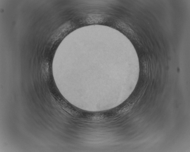 X0000067830308200605111624