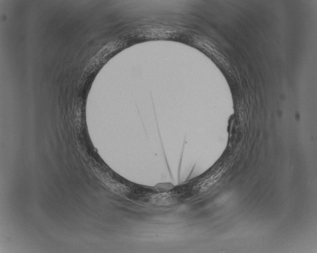 X0000067830309200605111624