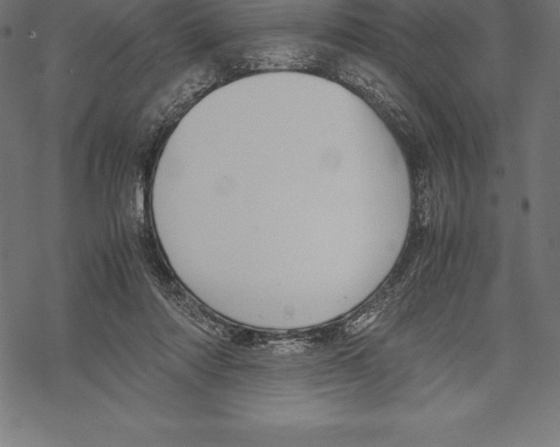 X0000067830310200605111624