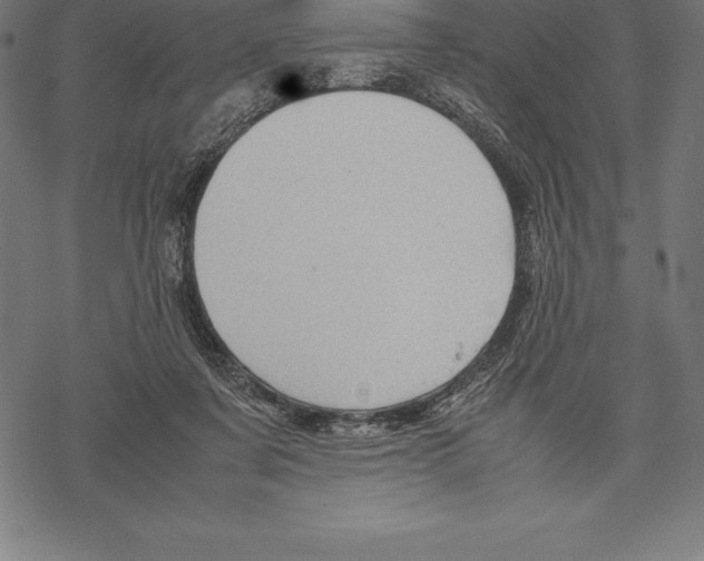 X0000067830311200605111624