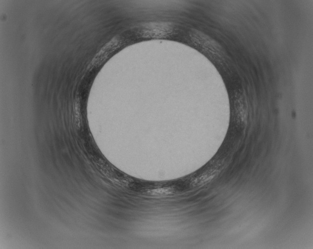 X0000067830312200605111624