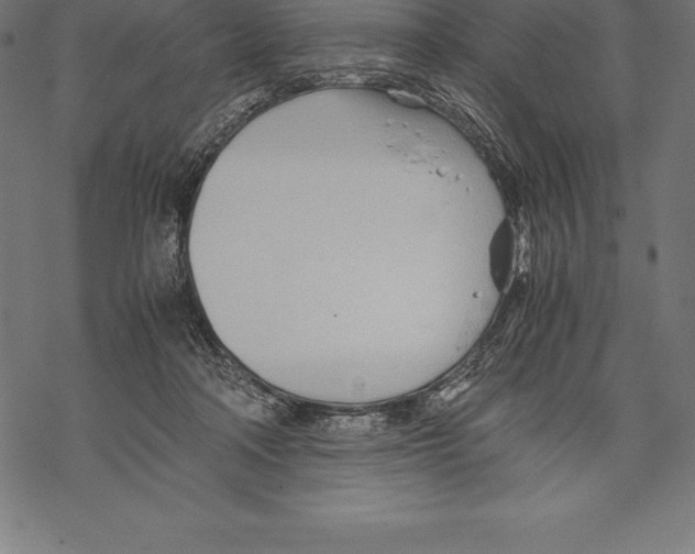 X0000067830314200605111624