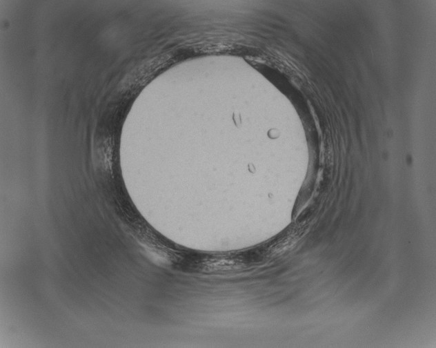 X0000067830315200605111624