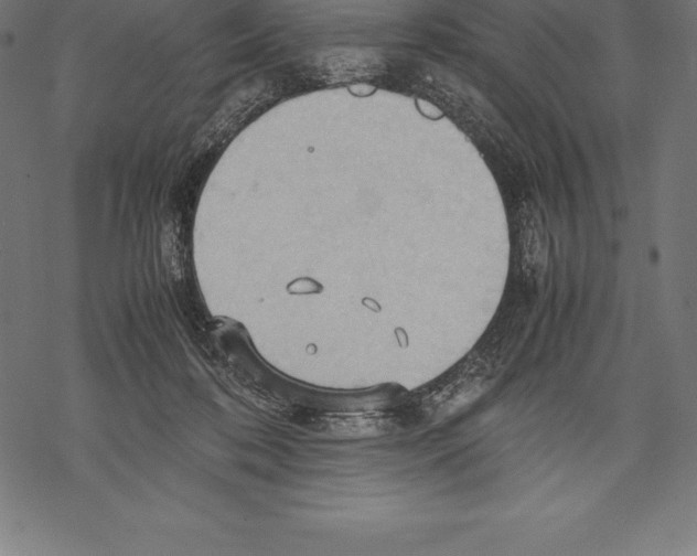 X0000067830316200605111624