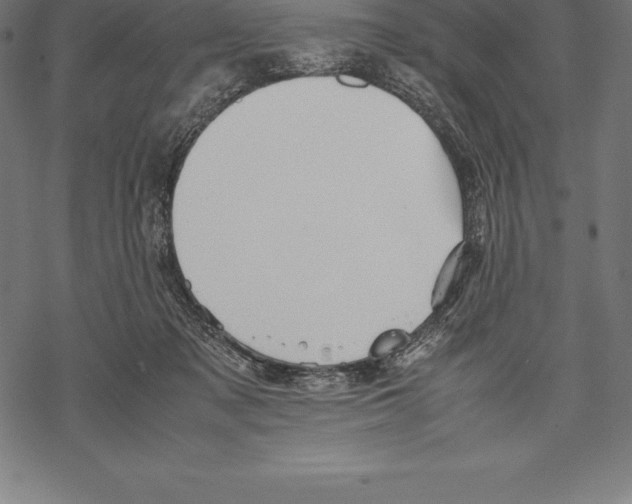 X0000067830317200605111624