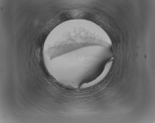 X0000067830319200605111623