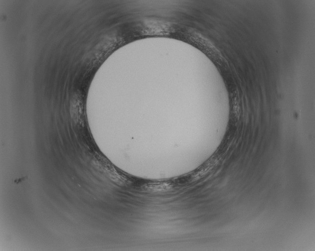 X0000067830322200605111623