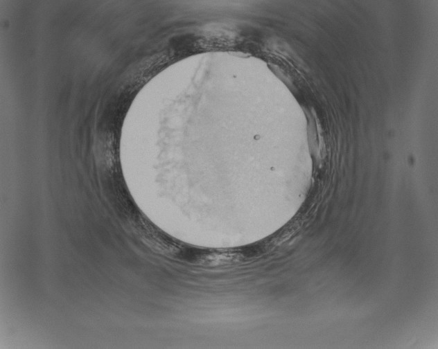 X0000067830323200605111623