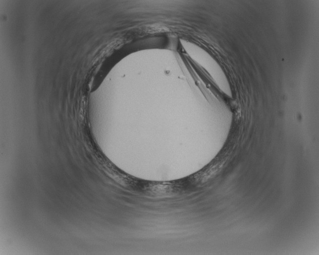 X0000067830325200605111623