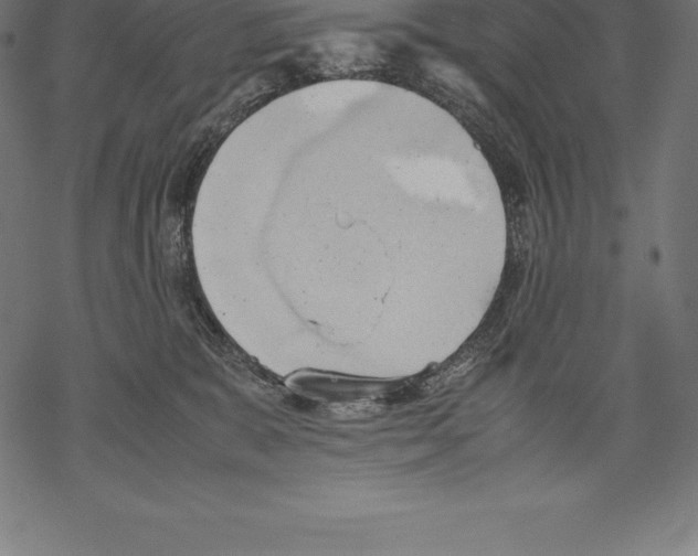 X0000067830327200605111623