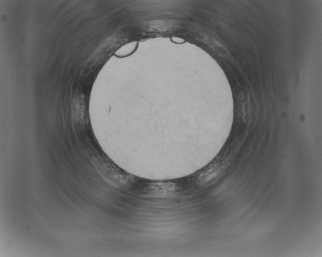 X0000067830328200605111623