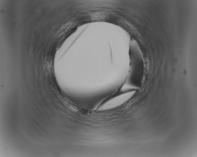 X0000067830329200605111623