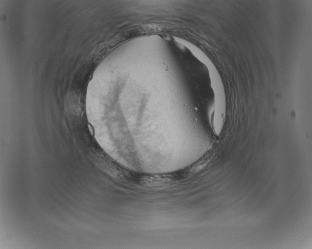 X0000067830331200605111623