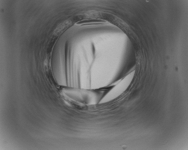 X0000067830333200605111623