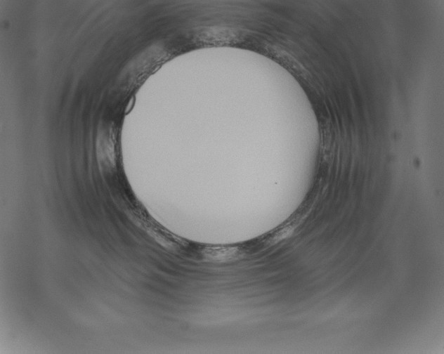 X0000067830334200605111623