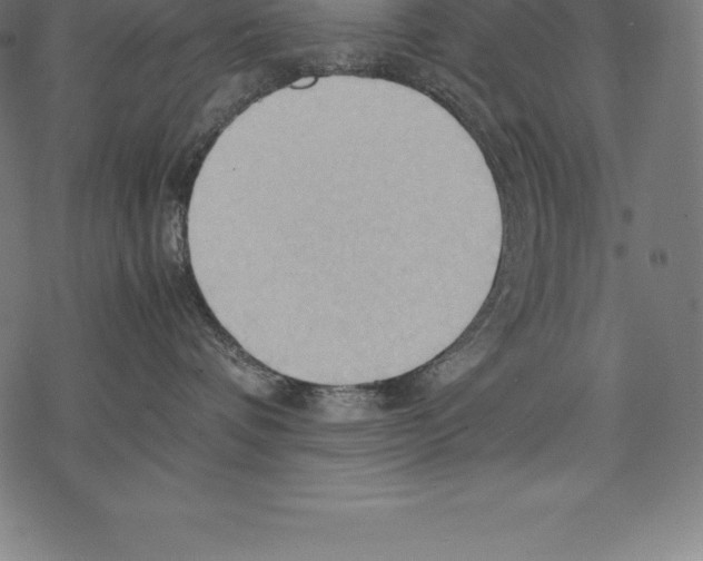 X0000067830336200605111623