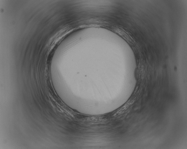 X0000067830338200605111622