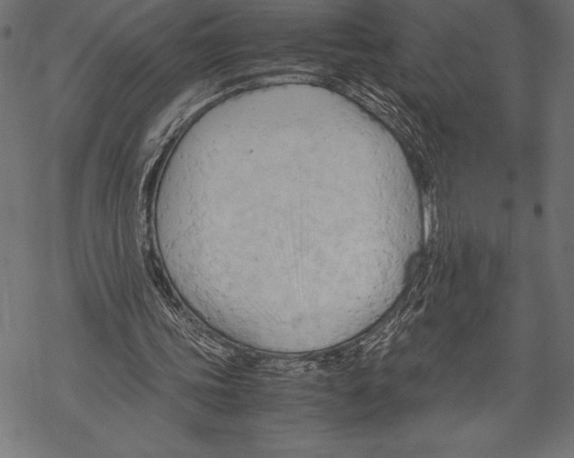 X0000067830339200605111622