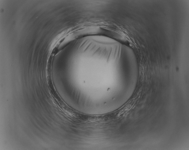 X0000067830340200605111622