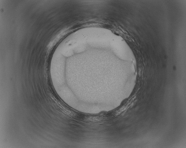 X0000067830341200605111622