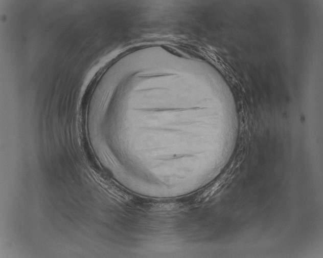 X0000067830342200605111623