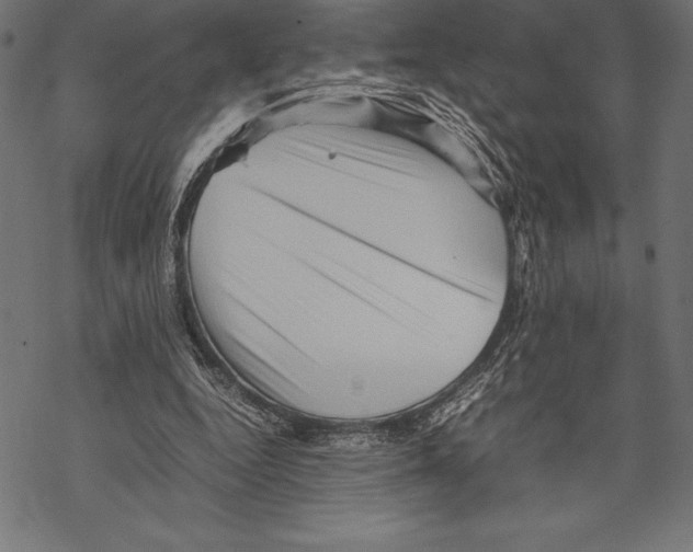 X0000067830344200605111623