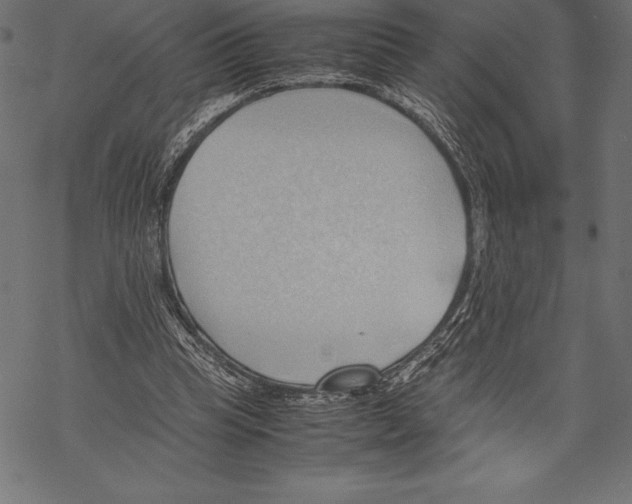 X0000067830345200605111623