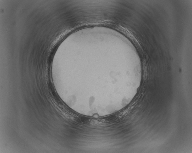 X0000067830346200605111623