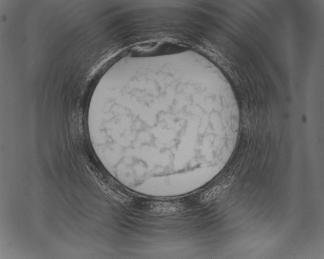 X0000067830347200605111623