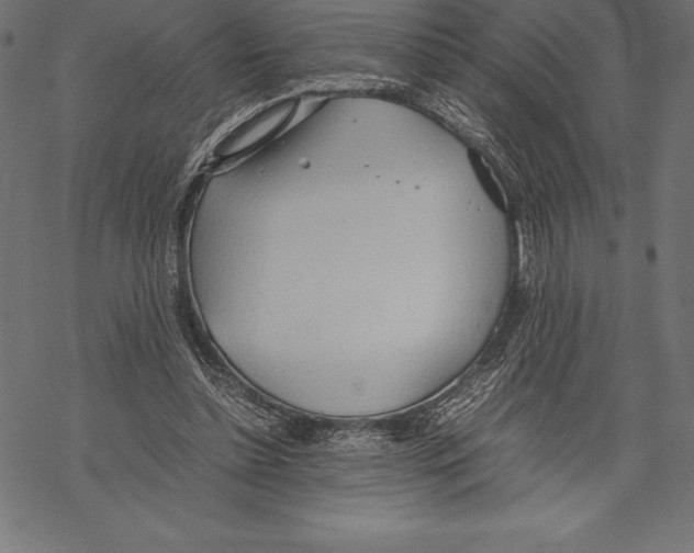 X0000067830348200605111623