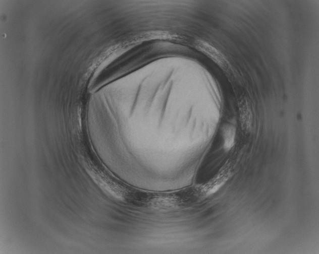 X0000067830350200605111623