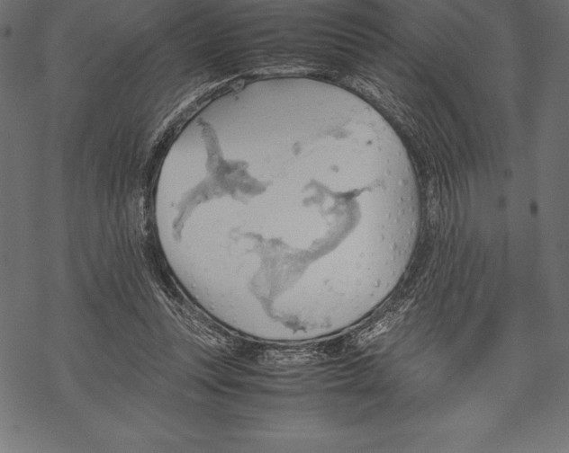 X0000067830351200605111623