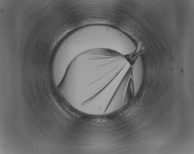 X0000067830352200605111623