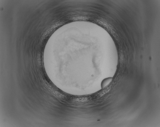 X0000067830353200605111623