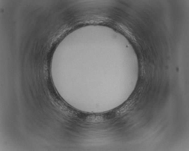 X0000067830354200605111623