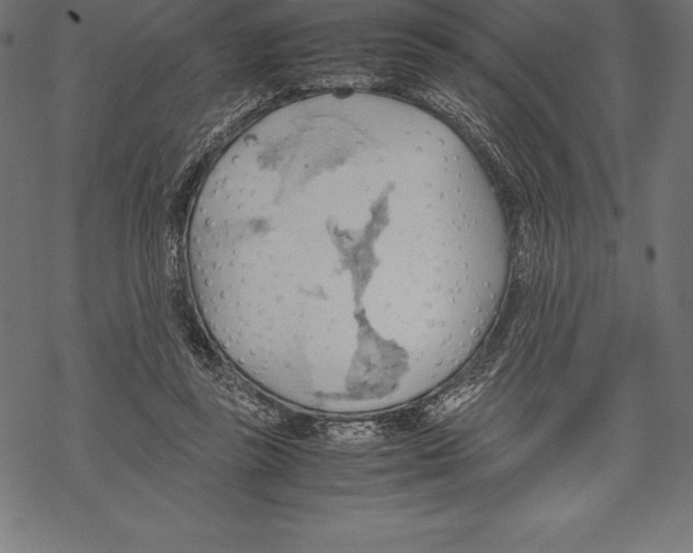 X0000067830355200605111623