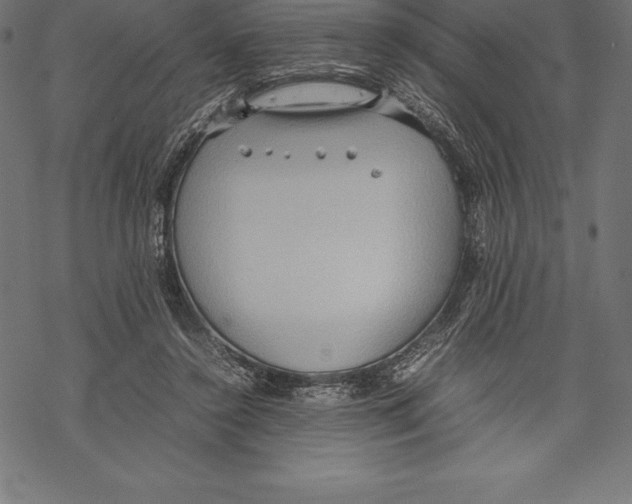 X0000067830356200605111623