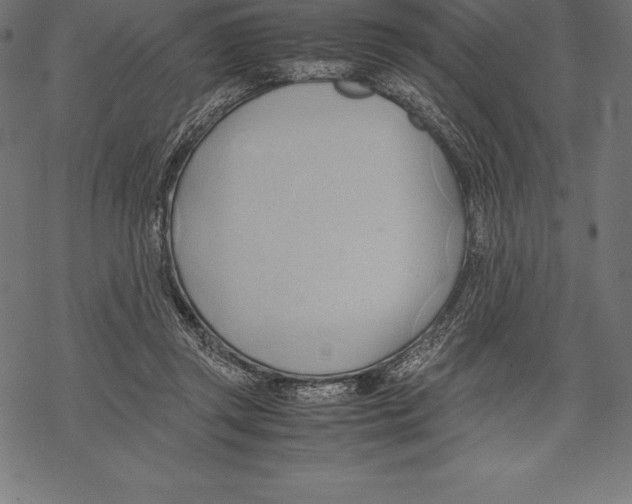 X0000067830357200605111623