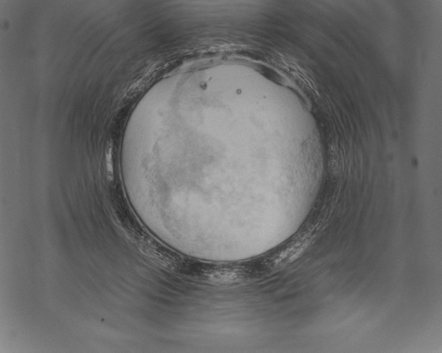 X0000067830358200605111623