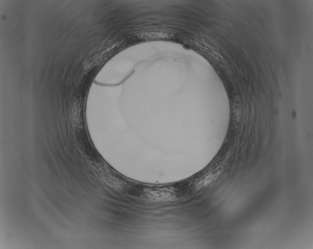 X0000067830359200605111623