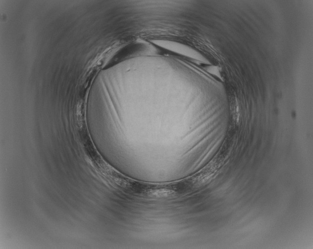 X0000067830360200605111623