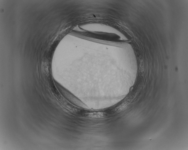 X0000067830363200605111623