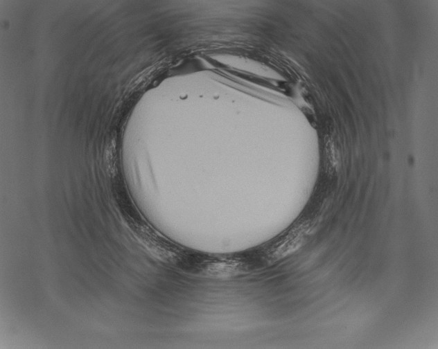 X0000067830364200605111623