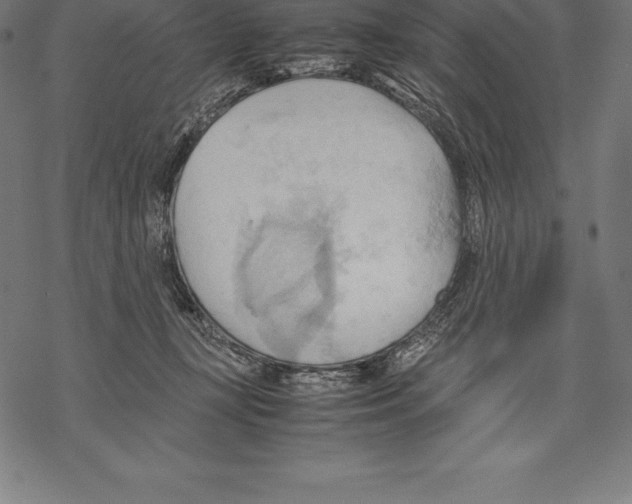 X0000067830367200605111623