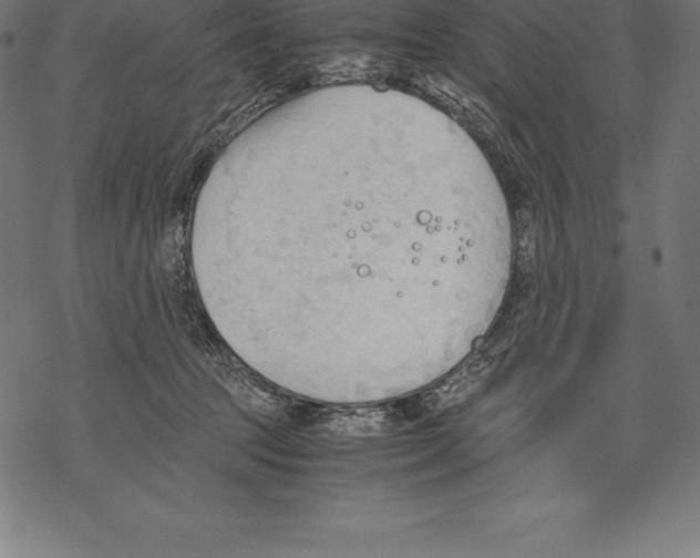 X0000067830369200605111623